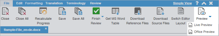 Preview button drop-down menu