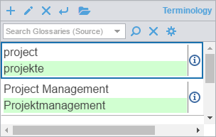 Terminology pane