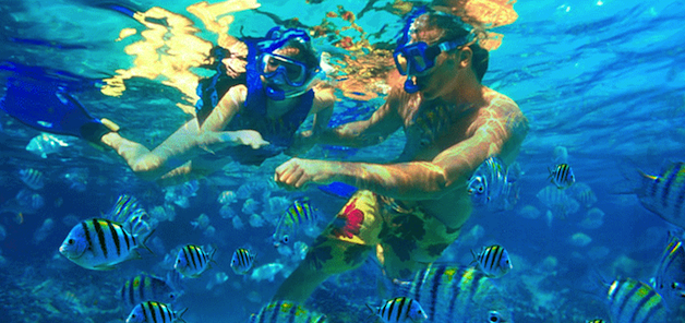 This is a photo of a man and girl snorkeling among fish in Martinique.